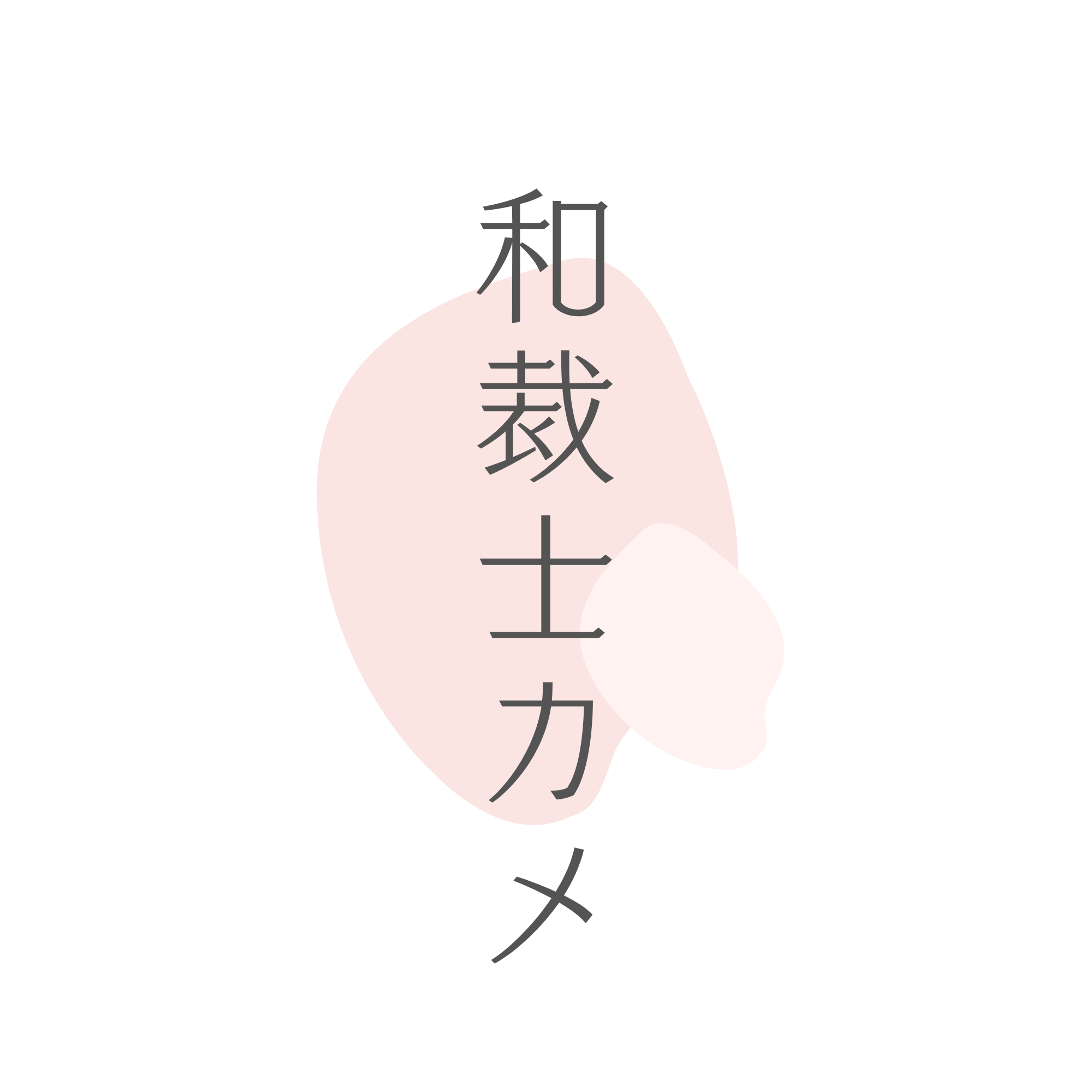 和裁技能士カメ